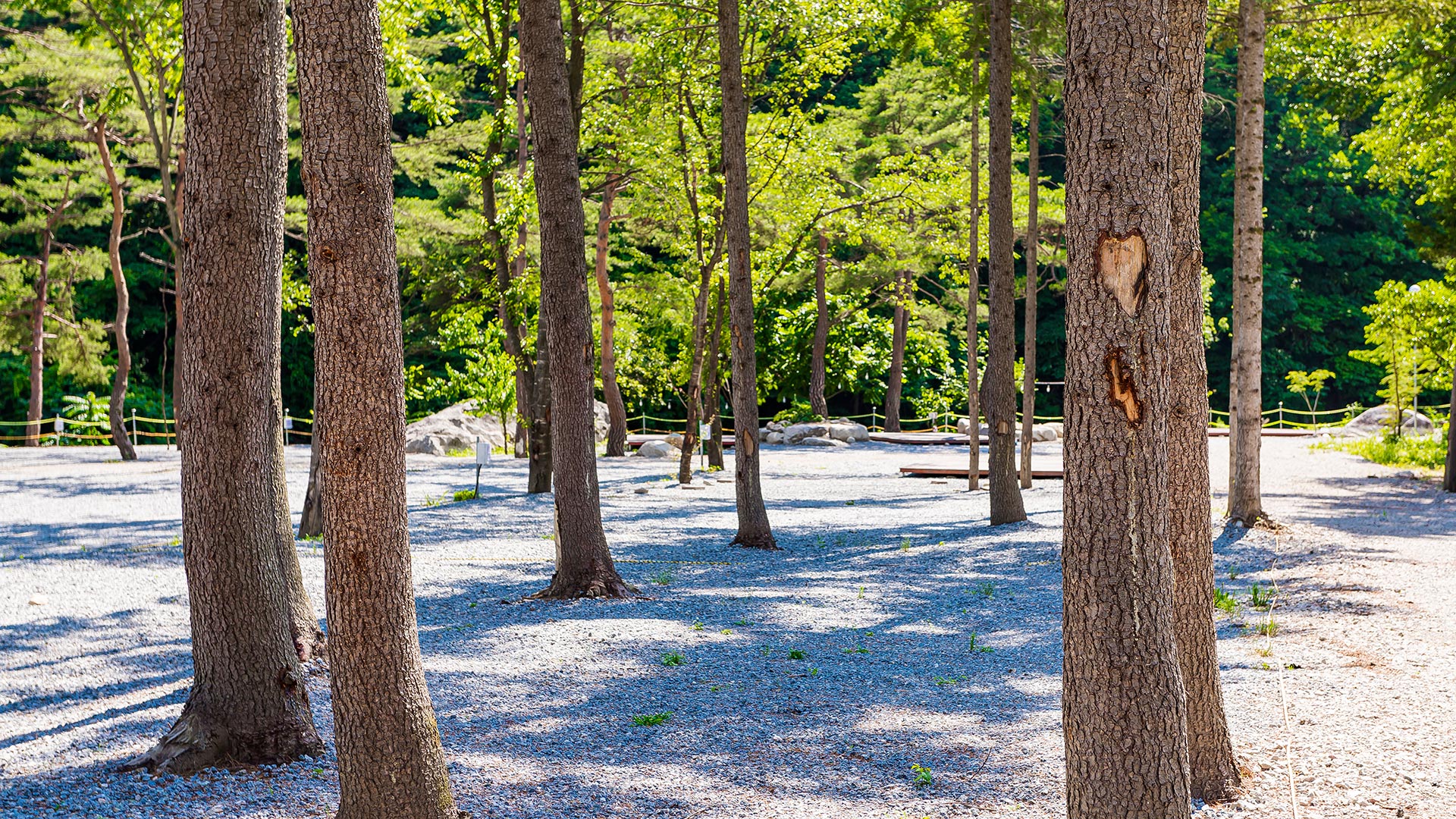 IMG_7116_1_02_웹용_1920